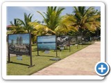 Photo Exhibit in Playa Dorada - Opening day