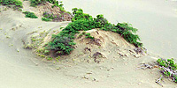 Las Dunas de Bani: Las Calderas